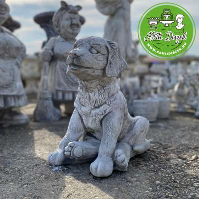 Vicces kölyök kutya