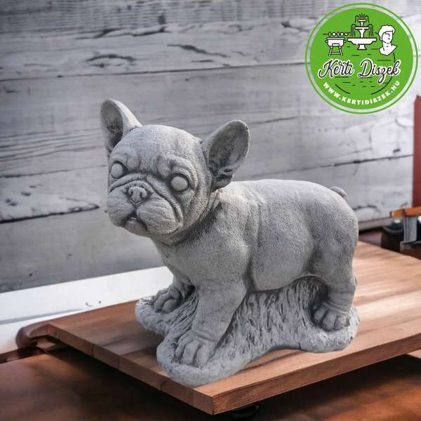 eladó francia bulldog