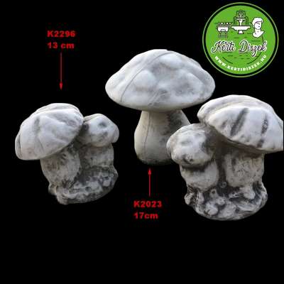 Kő gomba