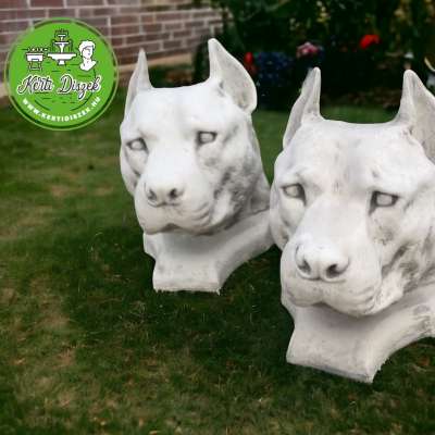 staffordshire bullterrier eladó