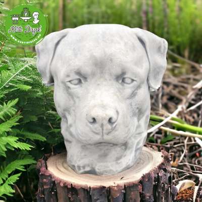 Rottweiler kutyafej szobor
