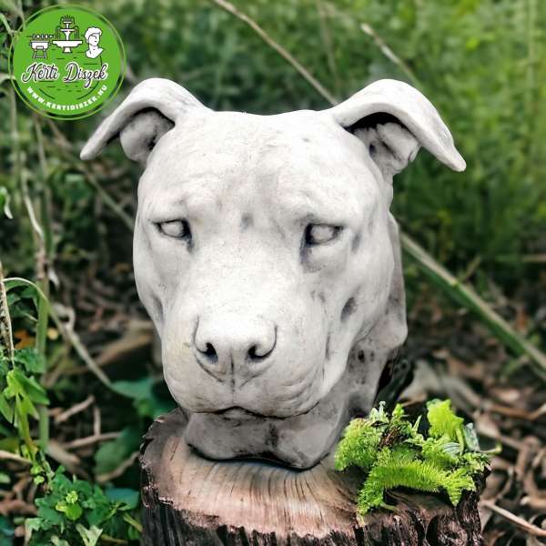 Argentin dog kutyafej