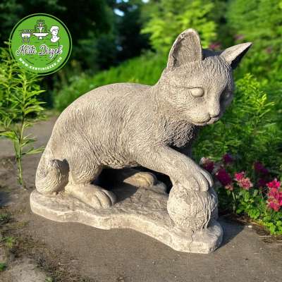 Gombolyaggal játszó cica