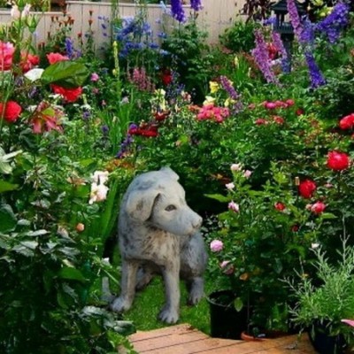 Kutyus kőből kerti dekor