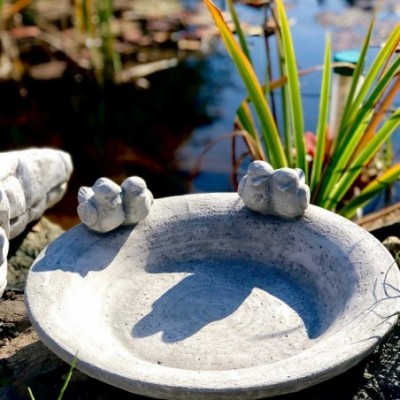 madáritató vásárlás