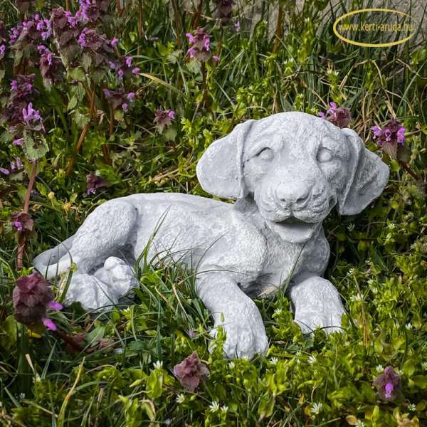 Kutya kertes házba Kutya kertes házba