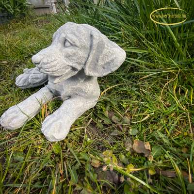 eladó kiskutya eladó kiskutya