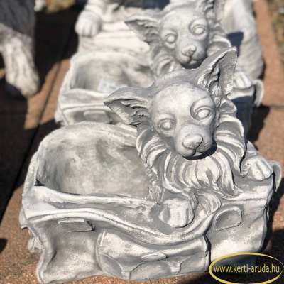 Spicc kutyás ajándék