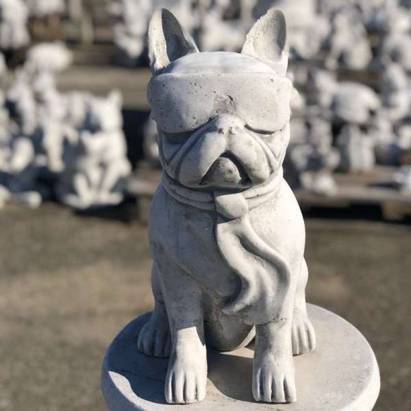 Vicces kutya Vicces kutya