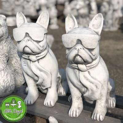 Francia Bulldog kutya Francia Bulldog kutya