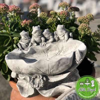 Fagymentes madáritató